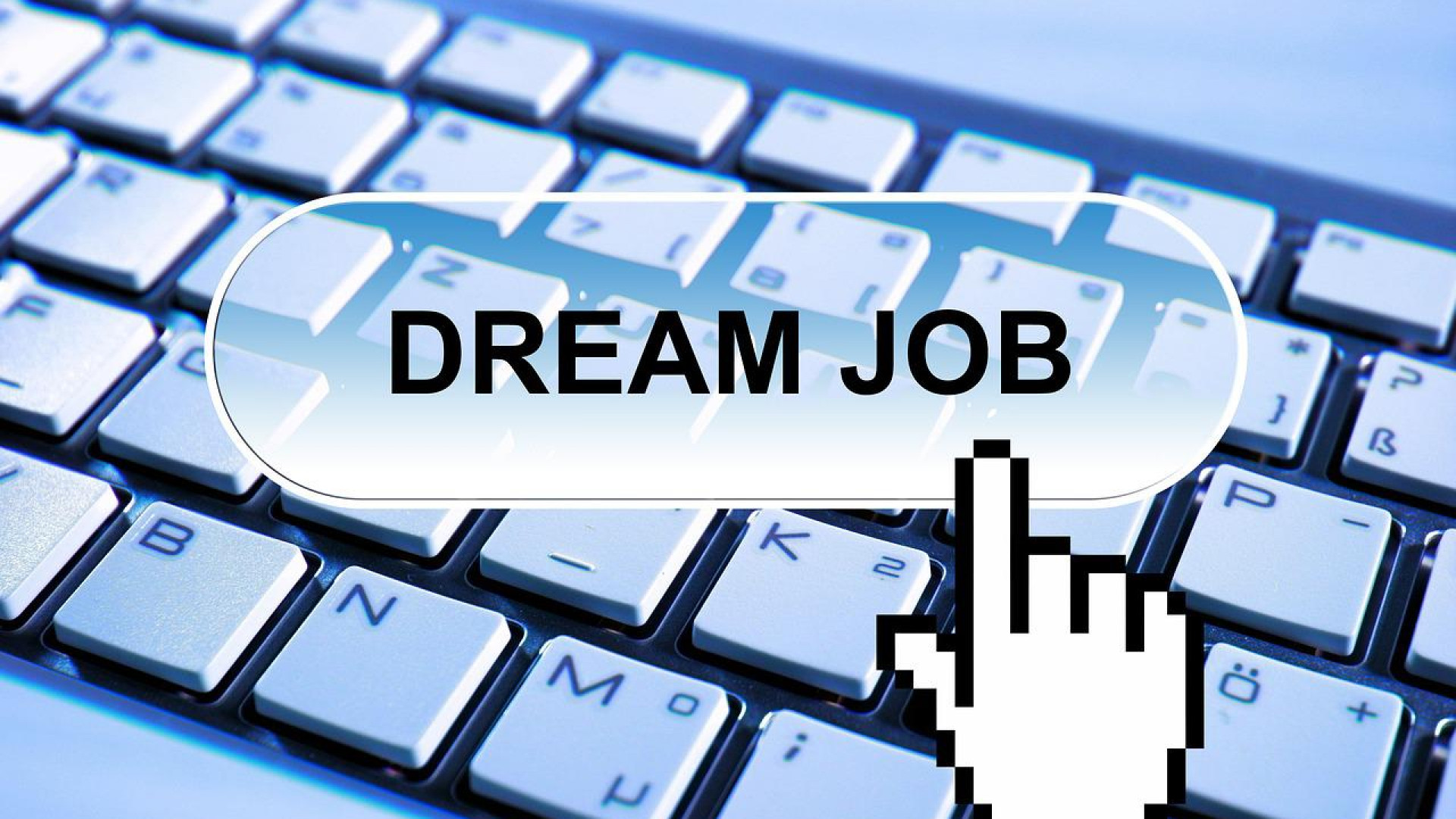 Comment accéder facilement aux opportunités d'emploi du secteur public local ?