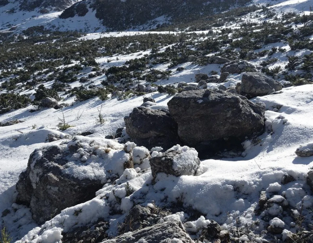 La saisie-vente aux enchères : arme redoutable pour récupérer son dû